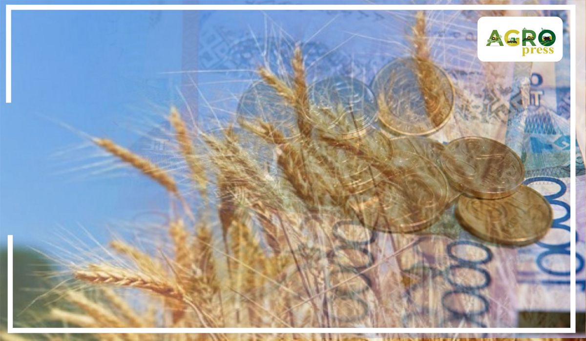 اشم شارۋالاردى ساقتاندىرۋدىڭ جۇيەسىن وزگەرتتى