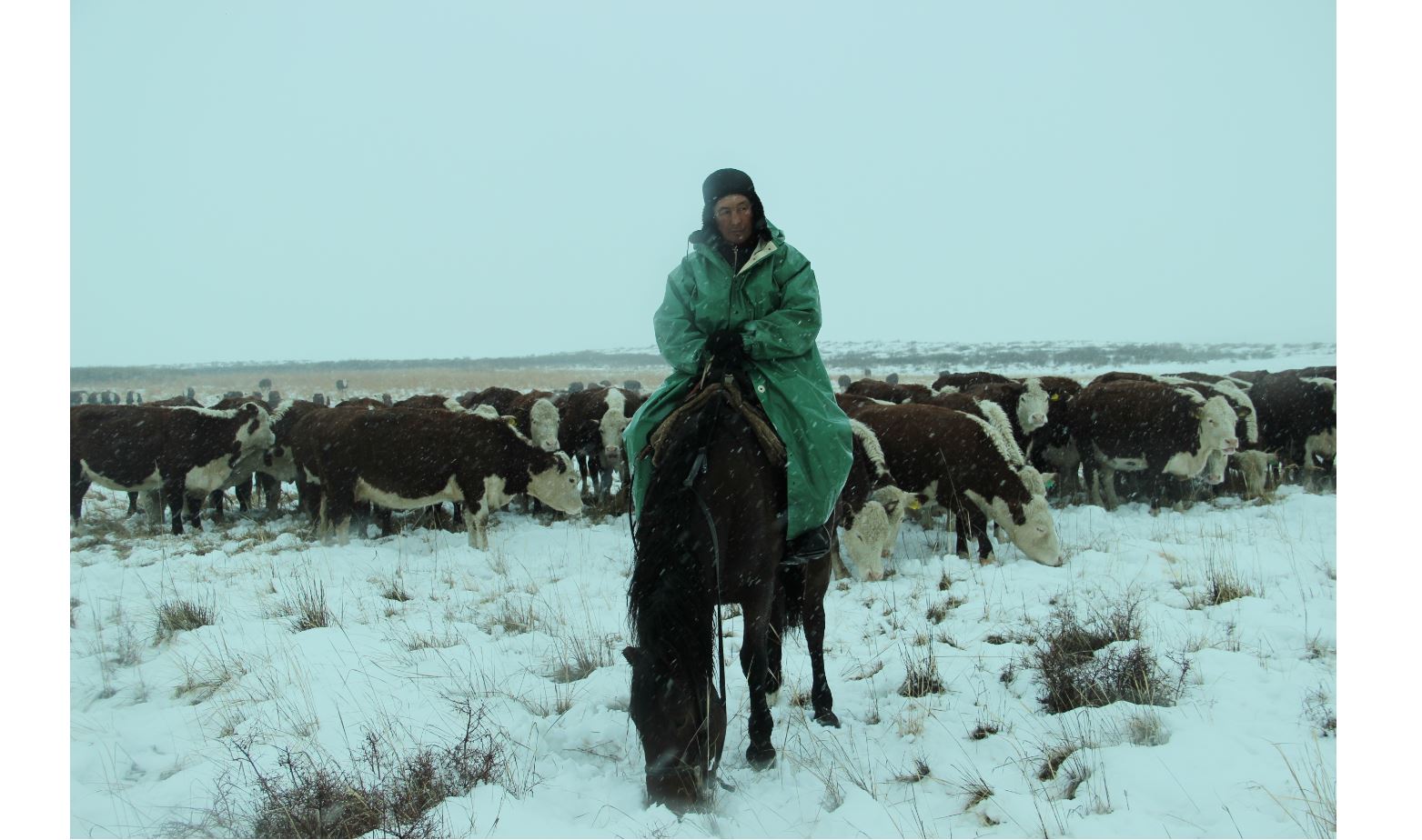 نەسيە الىپ, نەسىبەسىن ارتتىرعان وتباسى