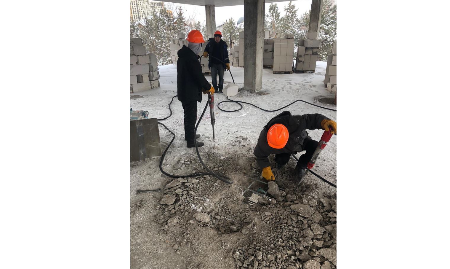 ەلوردادا زاڭسىز سالىنعان نىساندار سۇرىلەتىن بولادى