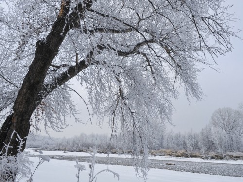 دەمالىس جانە مەرەكە كۇندەرى اۋا رايى قانداي بولادى