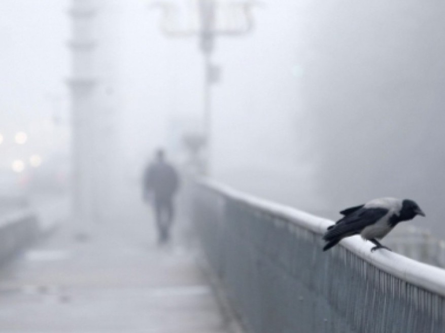 ەلىمىزدىڭ باسىم بولىگىن تۇمان باسادى