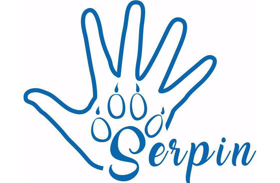 جاستاردى سەرپىلتكەن «سەرپىن»