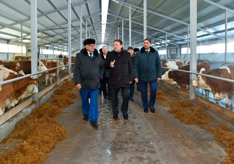 سولتۇستىك قازاقستاندا بيىل ءۇش زاماناۋي ءسۇت فەرماسى ىسكە قوسىلدى