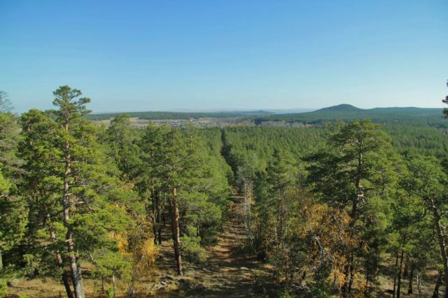 كوكشەنىڭ كوركى كوزقۇرتىنا اينالدى