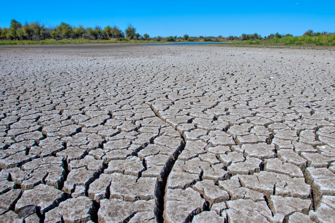 اتىراۋدا «اقجايىقتى ايالايىق» فوتوكورمەسى اشىلدى