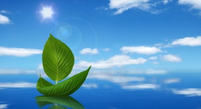 اقيقاتتىڭ ايناسى – «ادالدىق الاڭى»