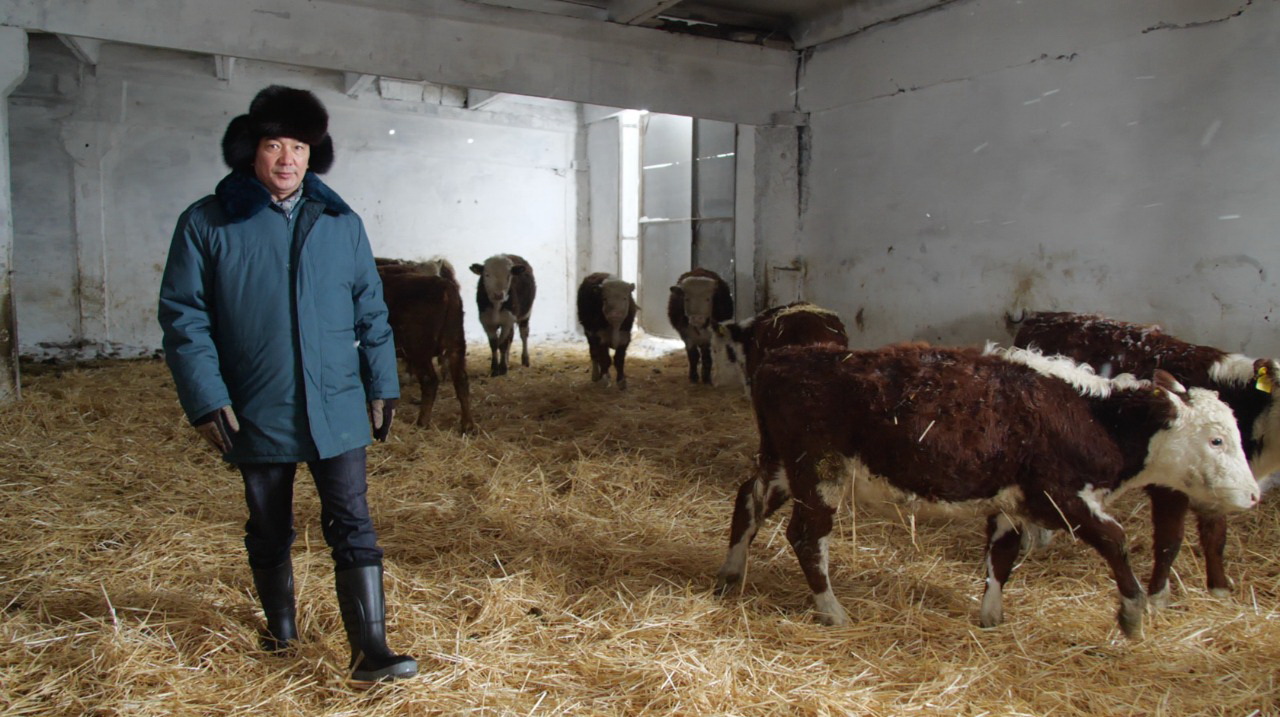 قولجەتىمدى قارجى اۋىل شارۋاشىلىعىن دامىتۋعا زور ۇلەس قوسادى