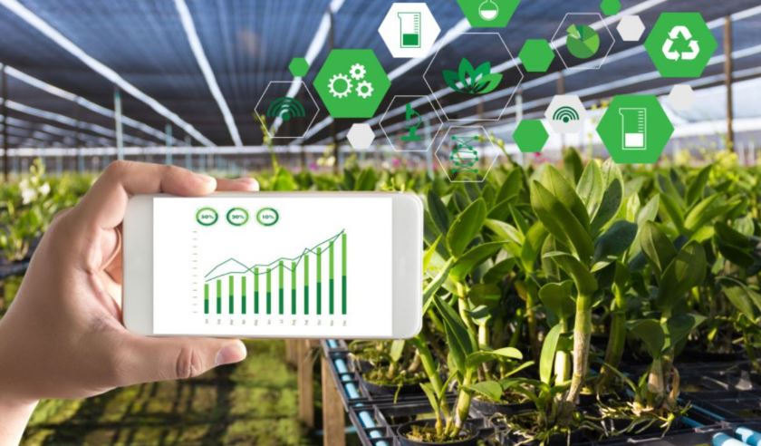 2019 جىلى 16 ساندىق شارۋا قوجالىق جانە 6 smart-فەرما قۇرىلدى