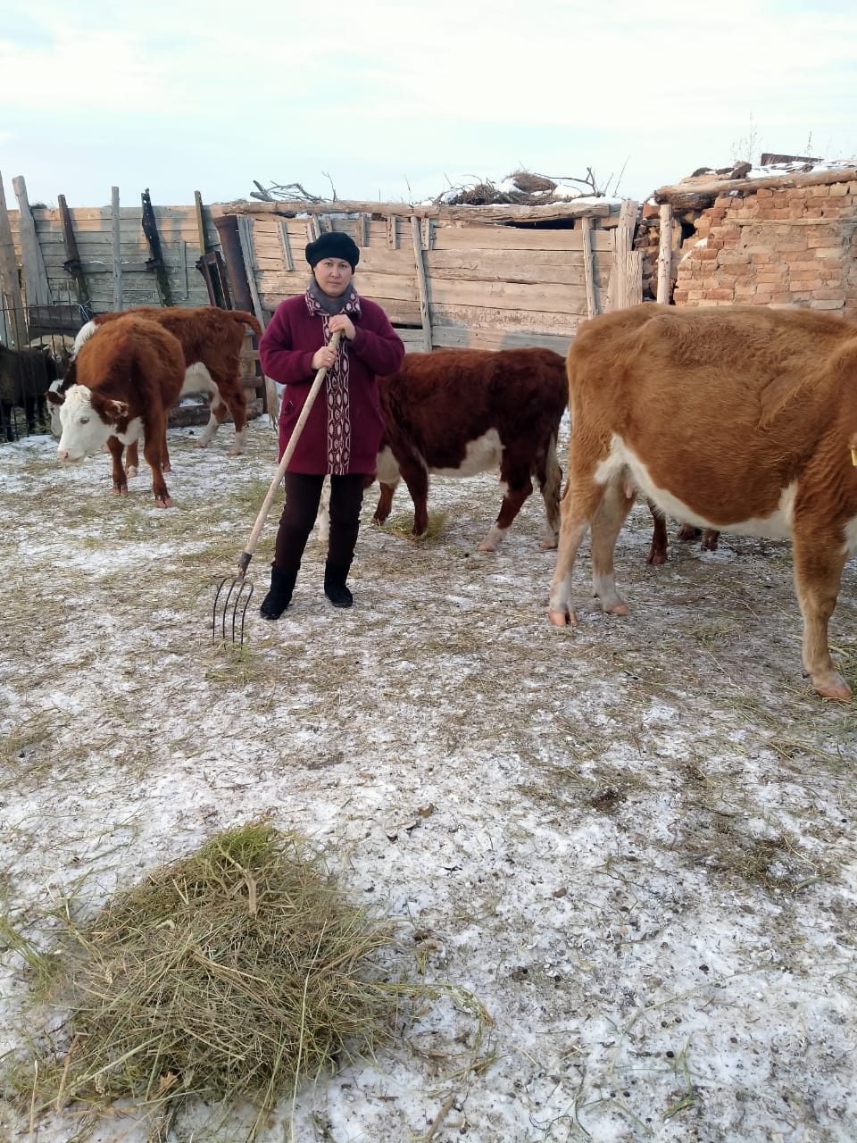 اياگوزدە 175 ادام تەگىن گرانتقا يە بولدى