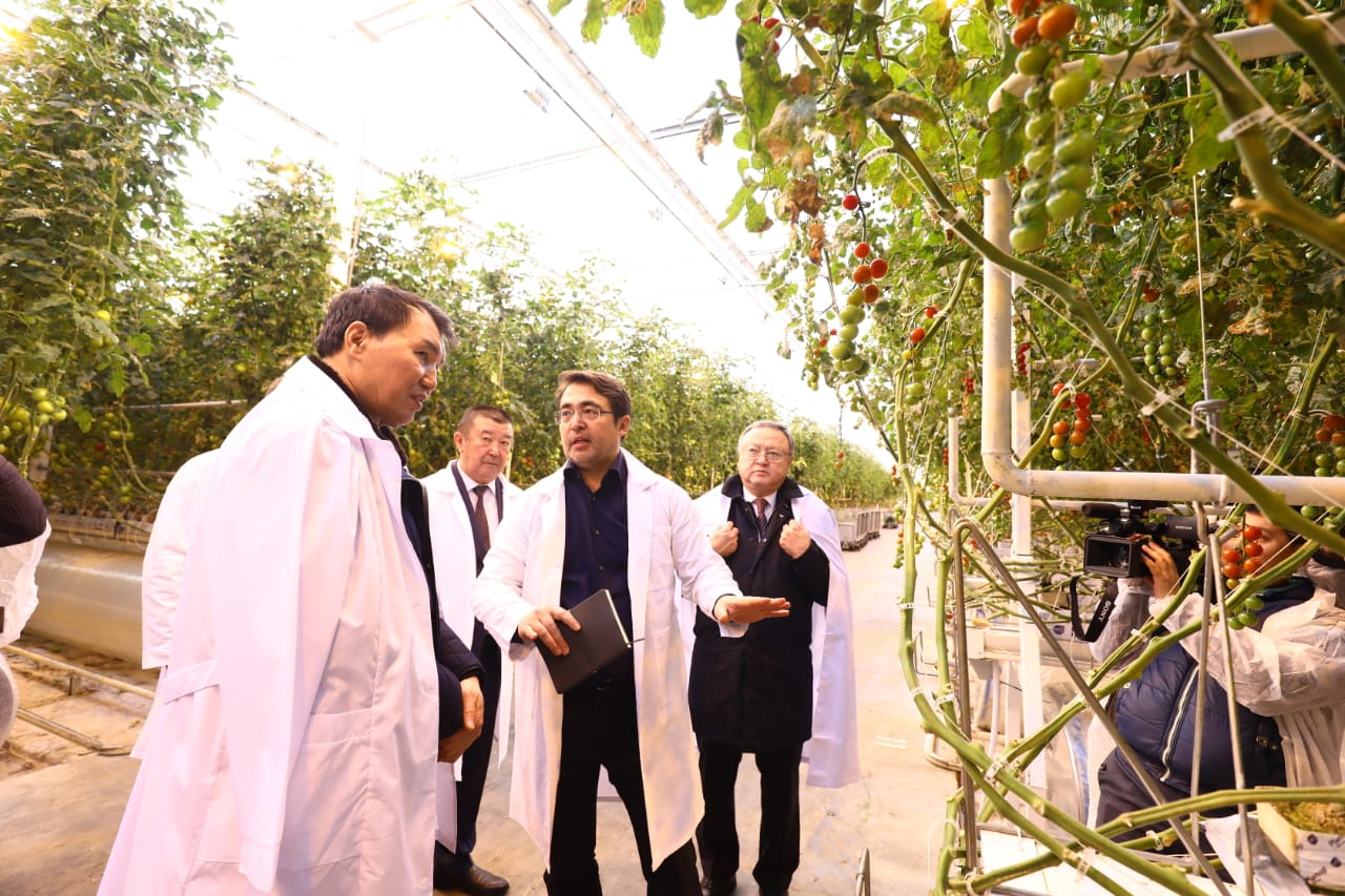 اليك شپەكباەۆ پەن وڭداسىن ورازالين «Green Capital Kazakhstan» جىلىجاي كەشەنىنە باردى