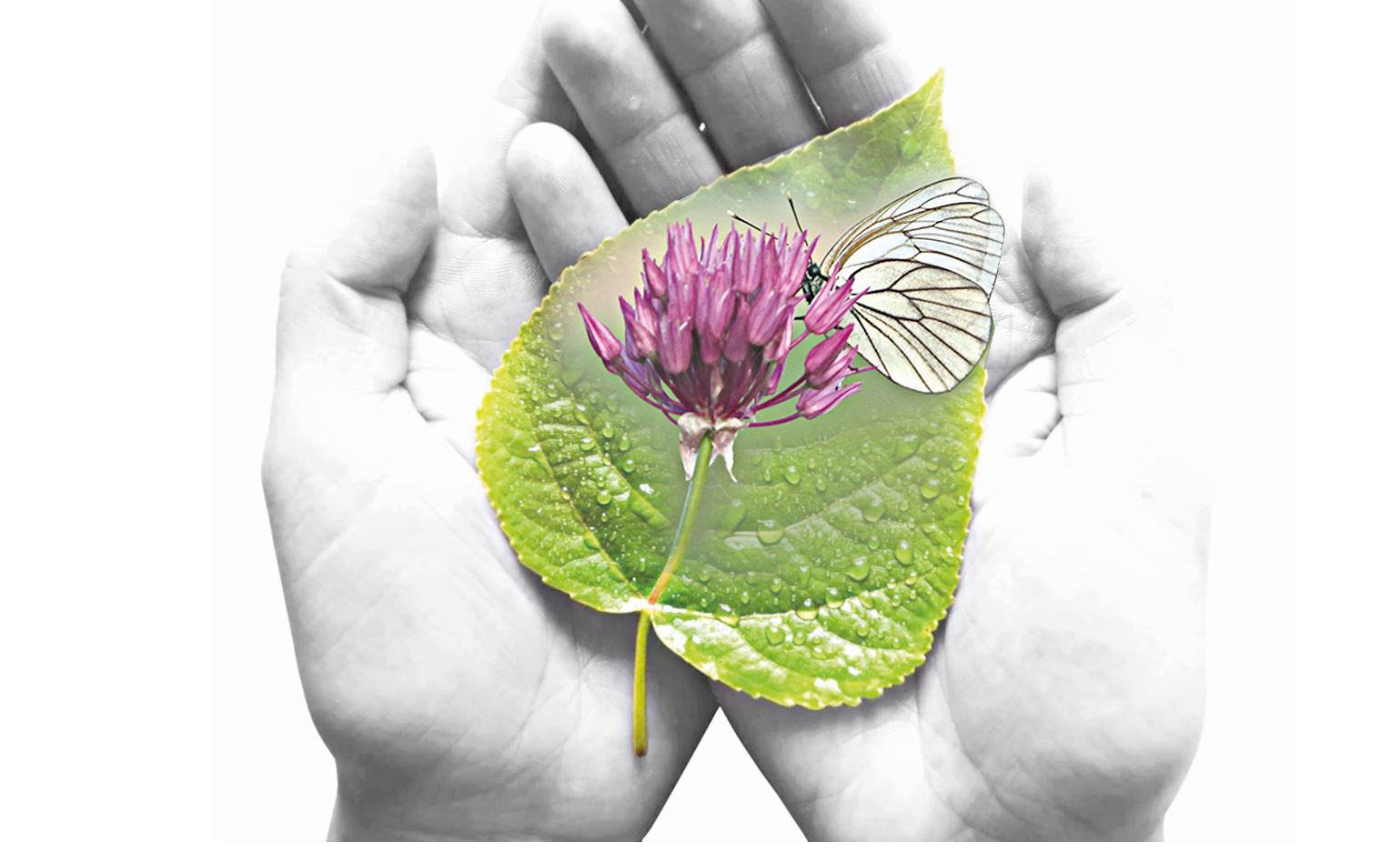 تابيعات قورعاۋدا دا تاباندىلىق قاجەت