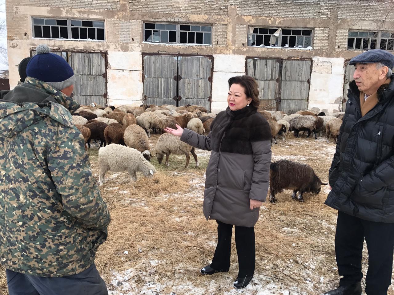 دينار نوكەتاەۆا جۇمىس بابىنداعى ساپارمەن الماتى وبلىسىندا بولدى