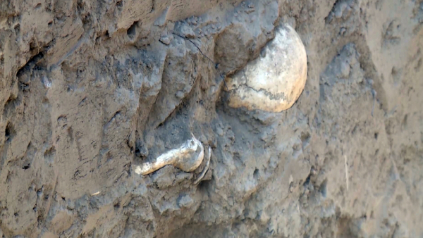 الىپ ادامداردىڭ مەكەنى