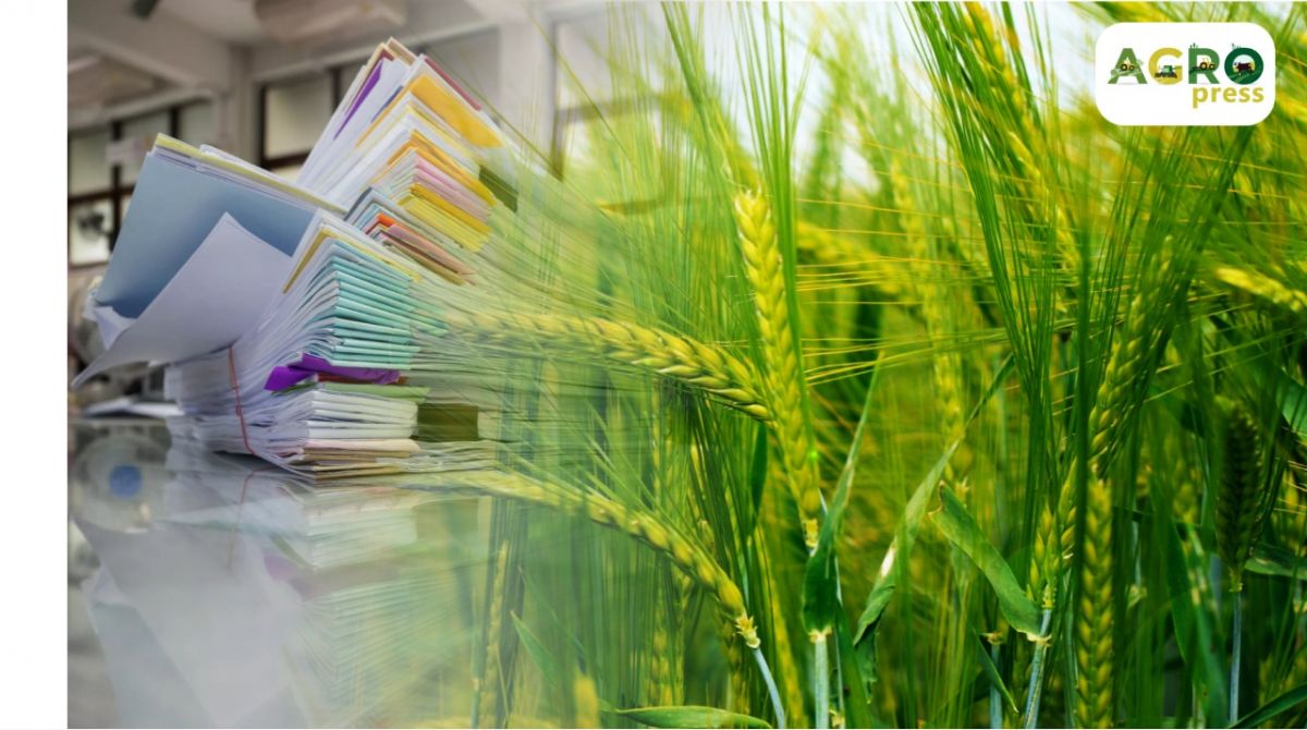 وسىمدىك جانە مال شارۋاشىلىعى ەرىكتى ساقتاندىرۋعا كوشەدى