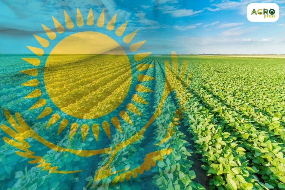 قازاقستاندا 5 ترلن تەڭگەگە جۋىق اۋىل شارۋاشىلىعى ونىمدەرى وندىرىلگەن