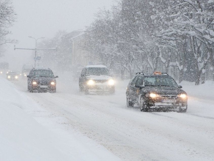 الماتى وبلىسىندا جول تازالىعىنا جاۋاپتى مەكەمە جازالاندى