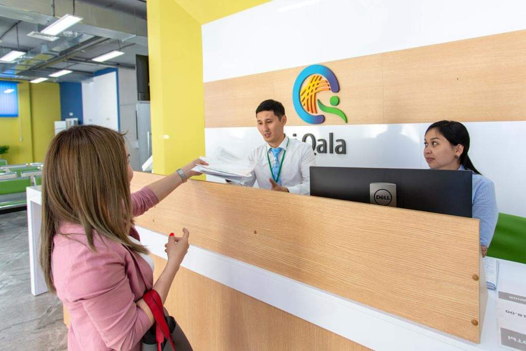 IQala ورتالىعى ەلوردالىقتارعا 119 قىزمەت ءتۇرىن كورسەتەدى