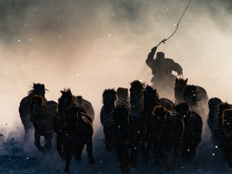 ۇرىلار ۇزاققا بارمادى