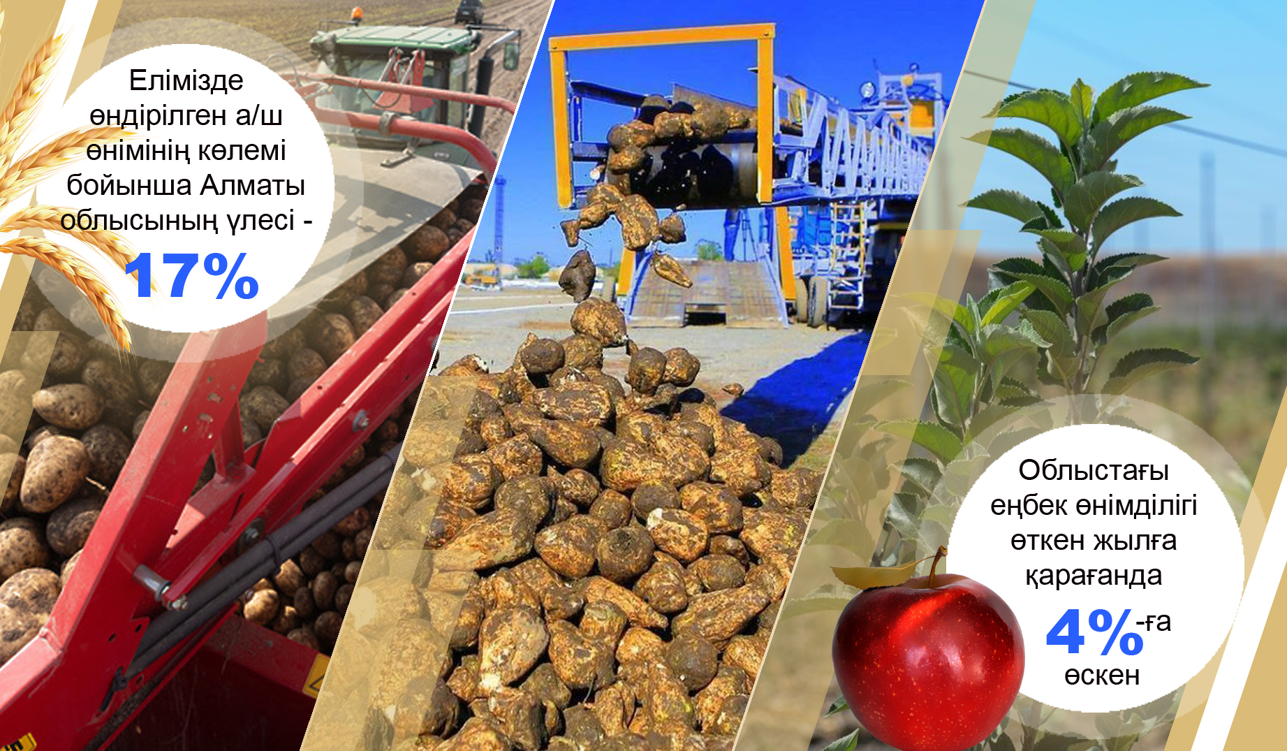 ەل ءىشى – ەڭبەك كەنىشى (اگروونەركاسىپ وندىرىسىندە الماتى وبلىسى كوش باستادى)