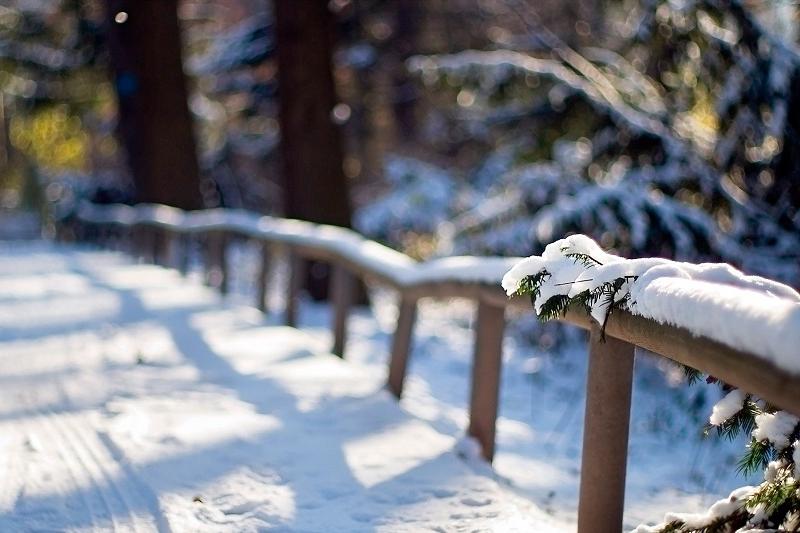 الداعى تاۋلىكتەردە اۋا رايى قانداي بولادى؟