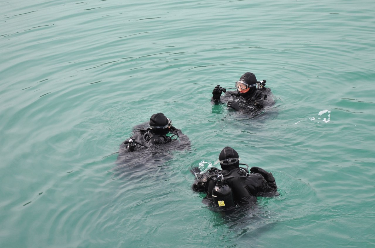 اسكەري سۇڭگۋىرلەر قىسقى سۇڭگۋدى ورىندايدى