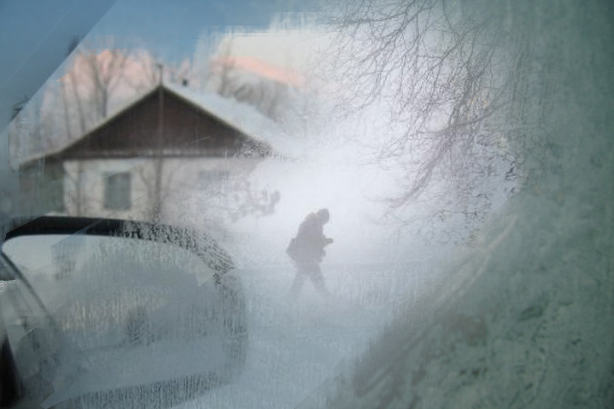 تەرەزەدەن قاراما...