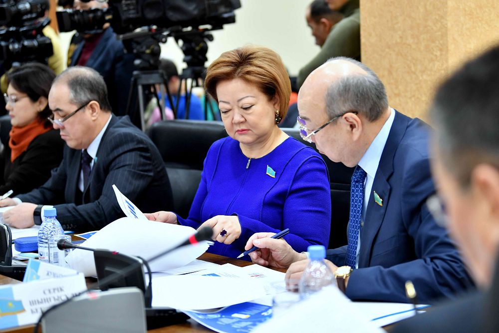 سەناتورلار دارىلىك زاتتاردىڭ باعاسىن باقىلاۋداعى وزەكتى ماسەلەلەردى تالقىلادى