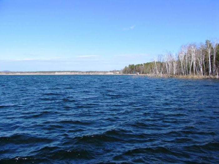 كوكشەتاۋداعى قوپا كولى تازارتىلادى