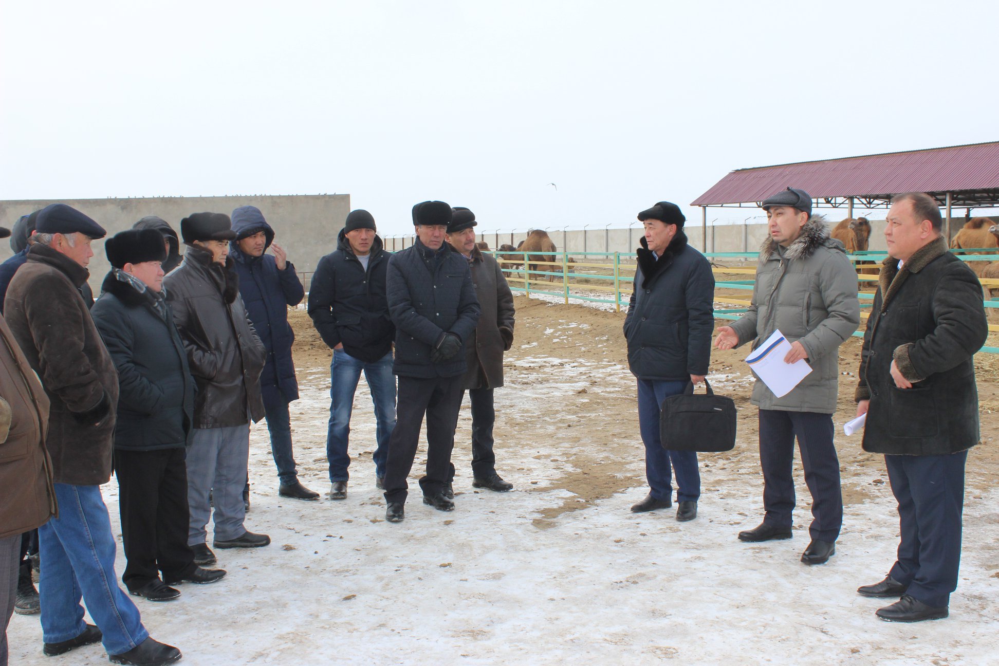 قىزىلوردا: كاسىپكەرلەر ءوتىنىشى ەسكەرىلەدى