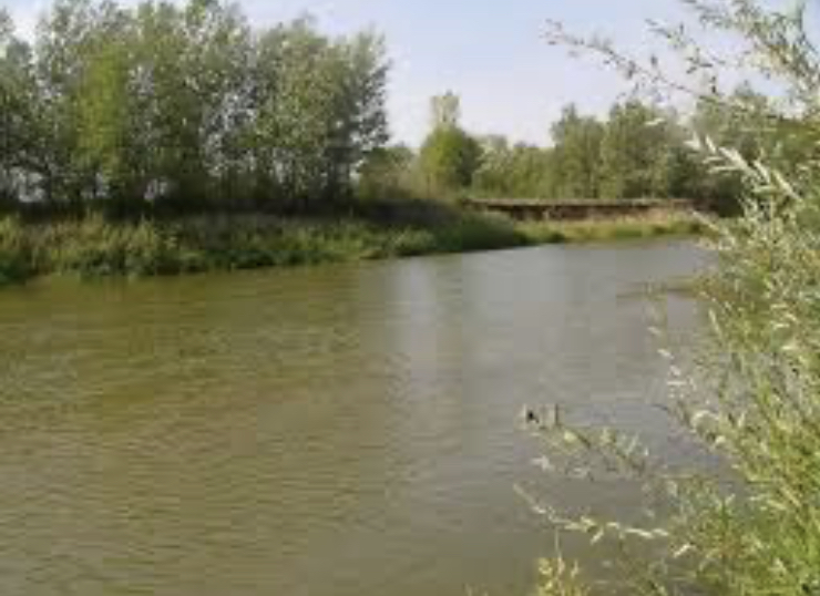 ەلەكتىڭ سورى – التى ۆالەنتتى حروم