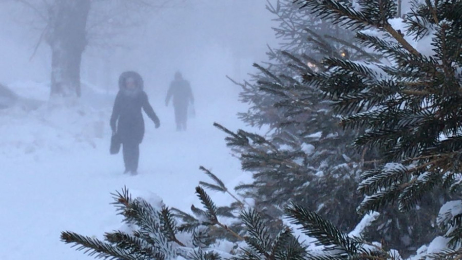 بارلىق قىزمەتتەر كۇشەيتىلگەن رەجىمدە جۇمىس ىستەپ جاتىر – التاي كولگىنوۆ (ۆيدەو)