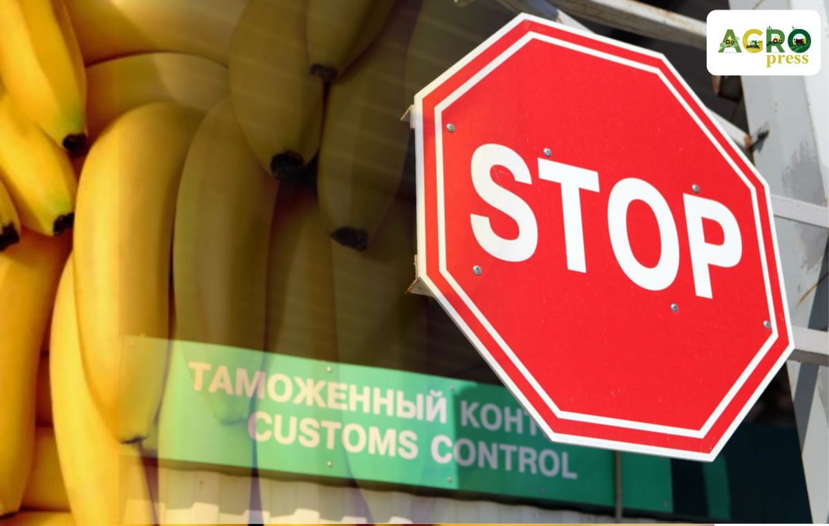 اشم ينسپەكتورلارى رەسەيلىك 81 توننا بانان ونىمدەرىن وتكىزبەدى