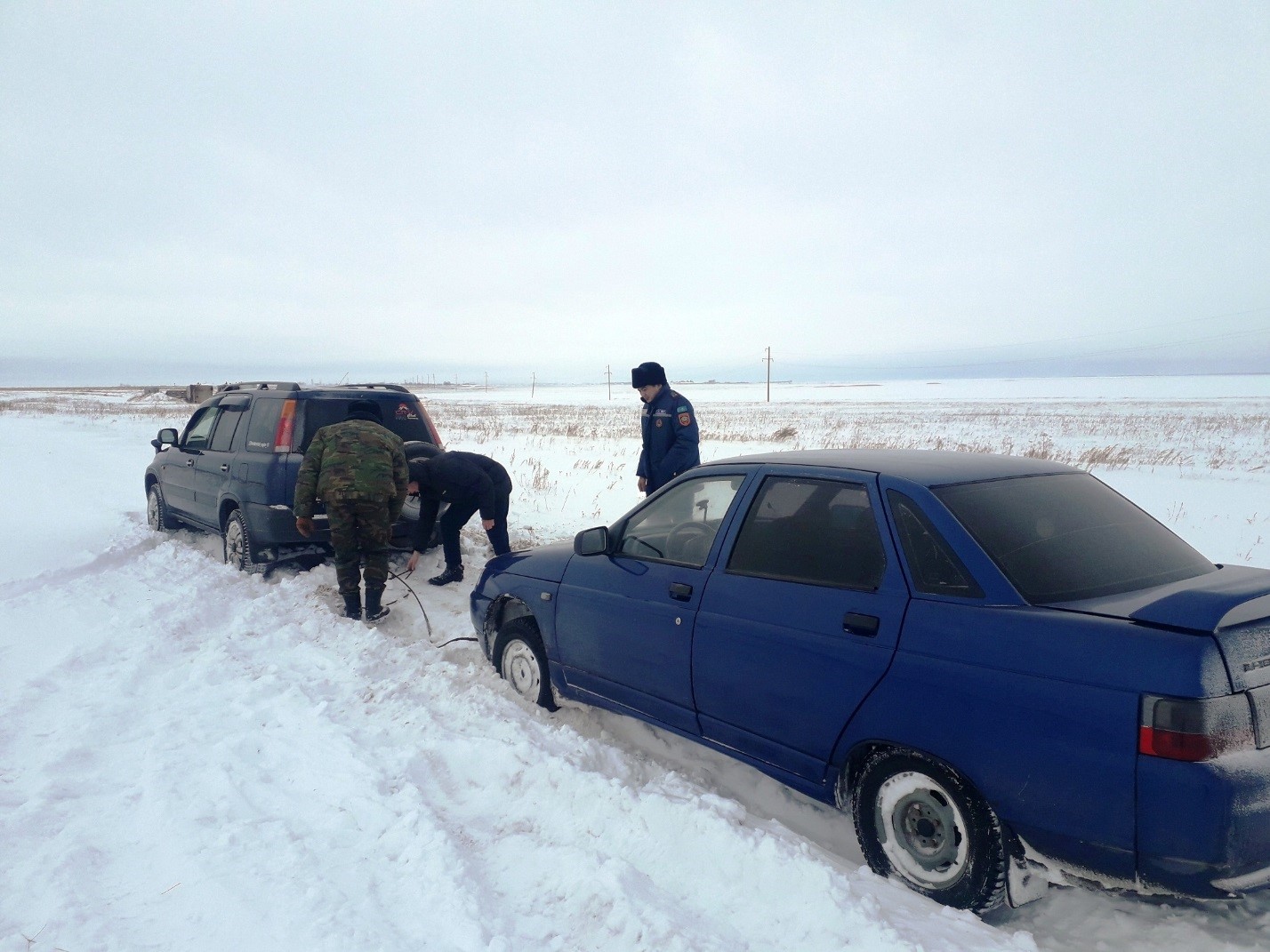 قىس قىسىمىن ادام كۇشى جەڭۋدە