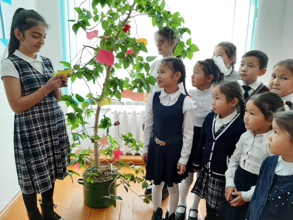 ناقىل سوزدەرگە تولى اعاش