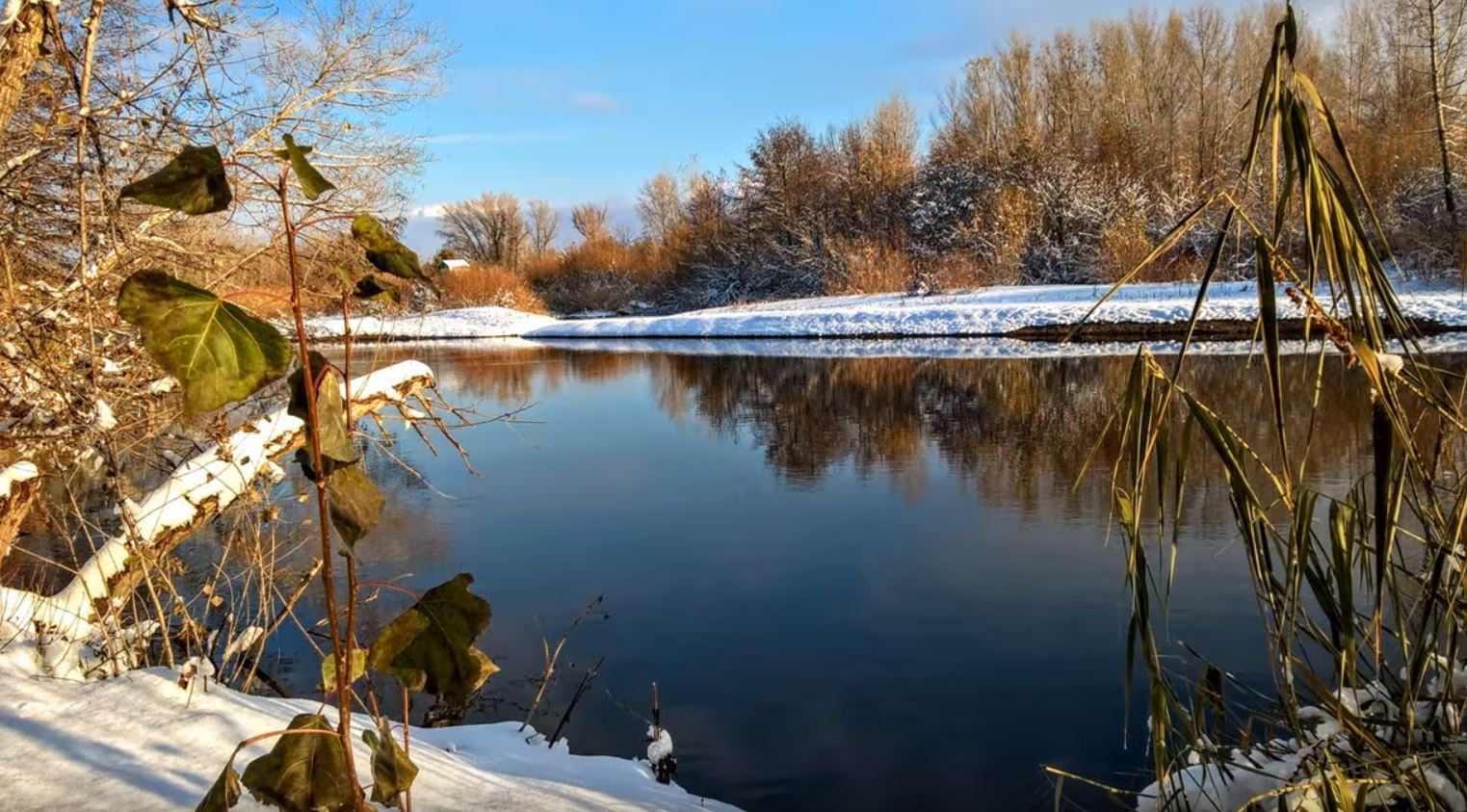 ەلەكتىڭ سورى – التى ۆالەنتتى حروم