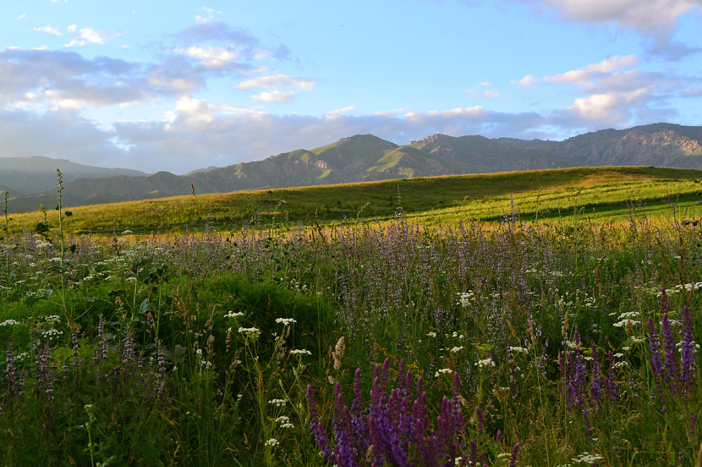 تارباعاتايدا دارىلىك شوپتەر كوپ