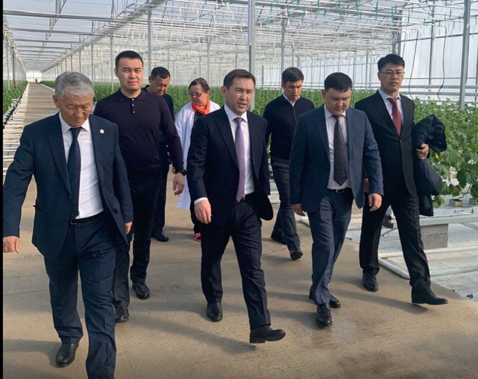 شىمكەنت: اۋىل شارۋاشىلىعى سالاسىنا باسا نازار اۋدارادى