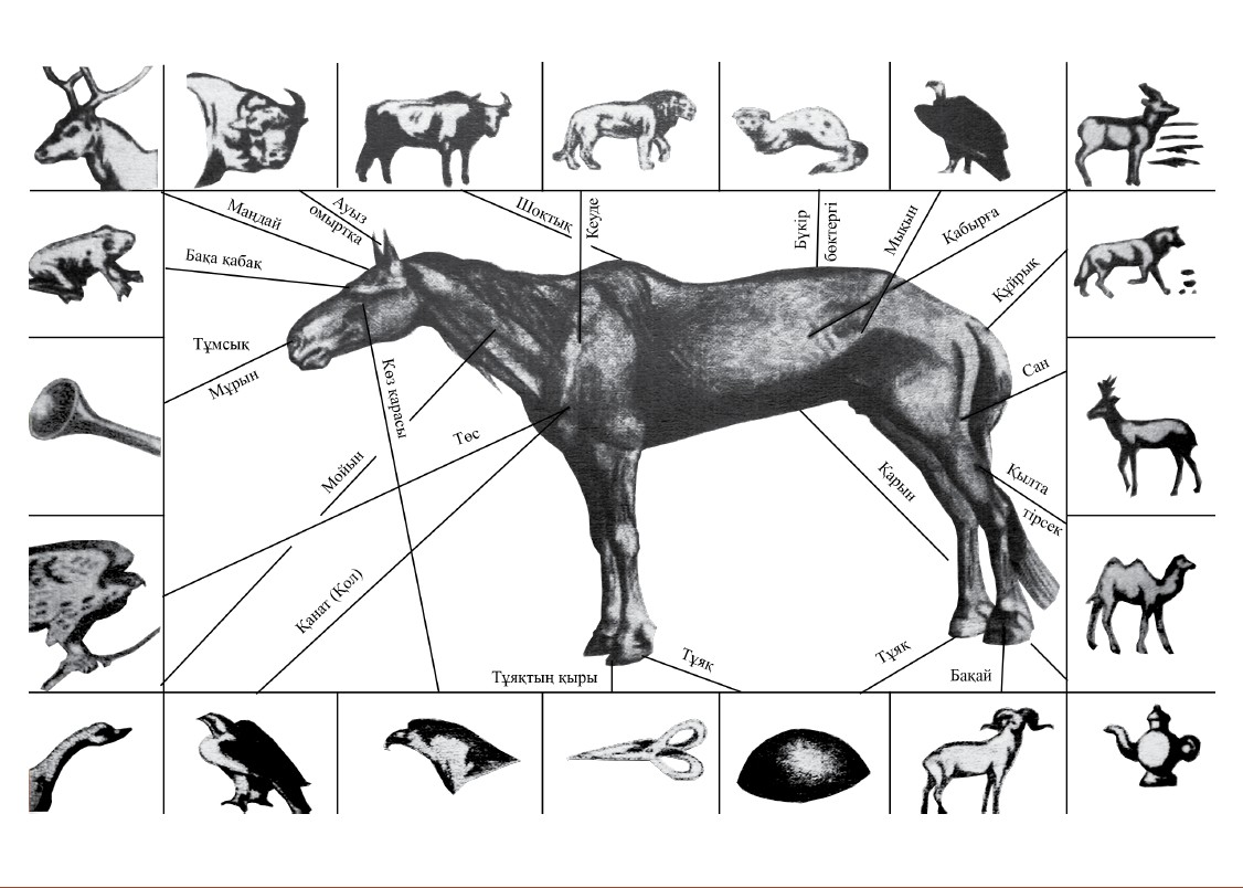 قازاقتىڭ جىلقىتانۋ ونەرى