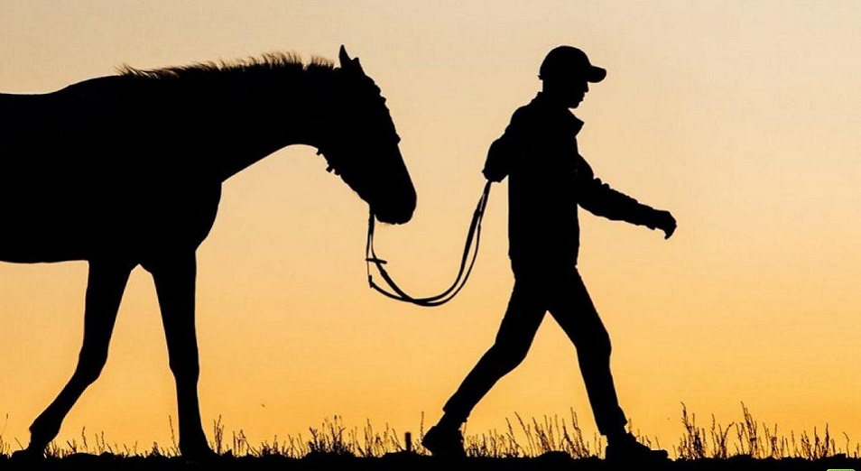 مال ۇرلىعىنا جەرگىلىكتى اكىمدىك, مال دارىگەرلەرى دە جاۋاپتى