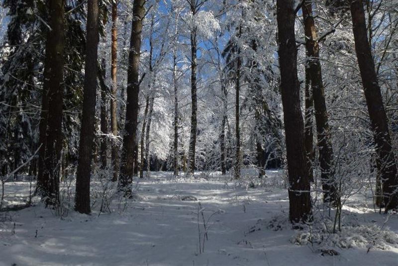 اڭ-قۇس تا امان بولسىنشى
