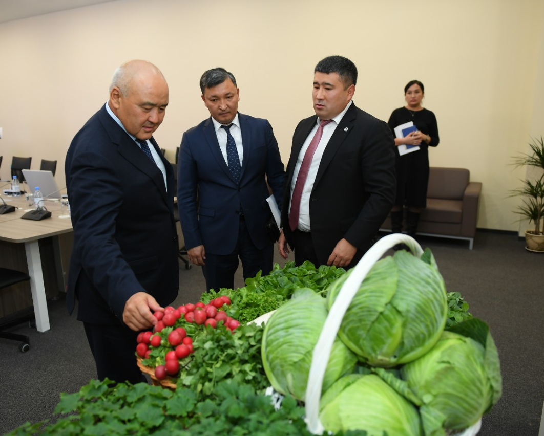 سارىاعاشقا 123 مىڭنان استام تۋريست ەمدىك سۋدان شيپا ىزدەپ كەلگەن