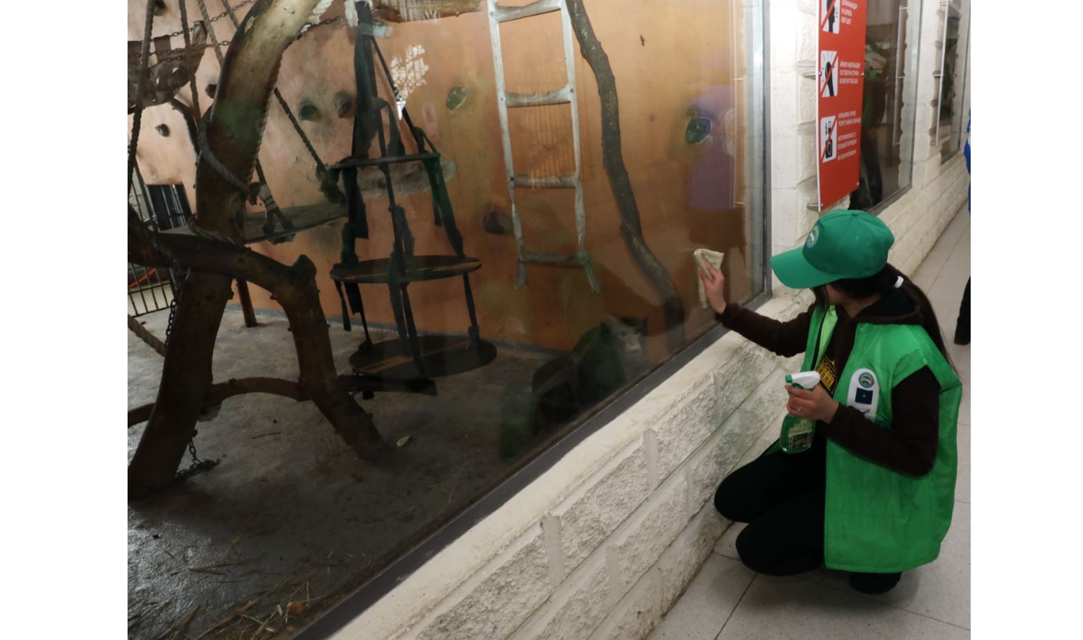 حايۋاناتتار باعىنا قولعابىس كورسەتتى