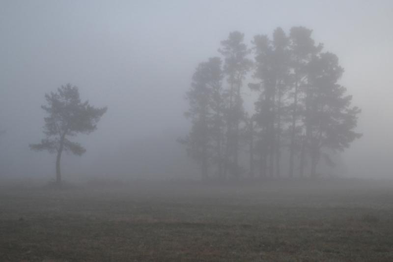 قىزىلوردا: جەل تۇرىپ, تۇمان تۇسەدى