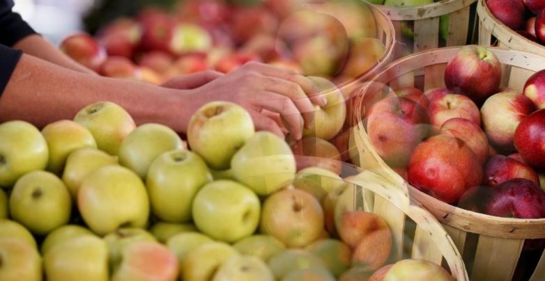 مينيسترلىك وتاندىق نارىققا قازاقستاندىق المانى قايتارۋعا نيەتتى