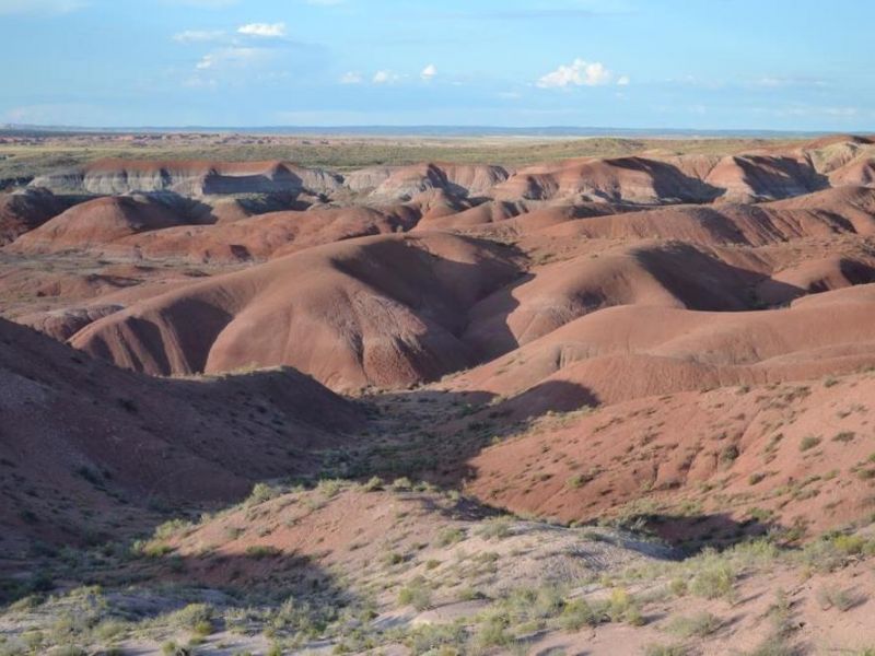 ايدارلىنىڭ ايداعانى بەس ەشكى ەمەس