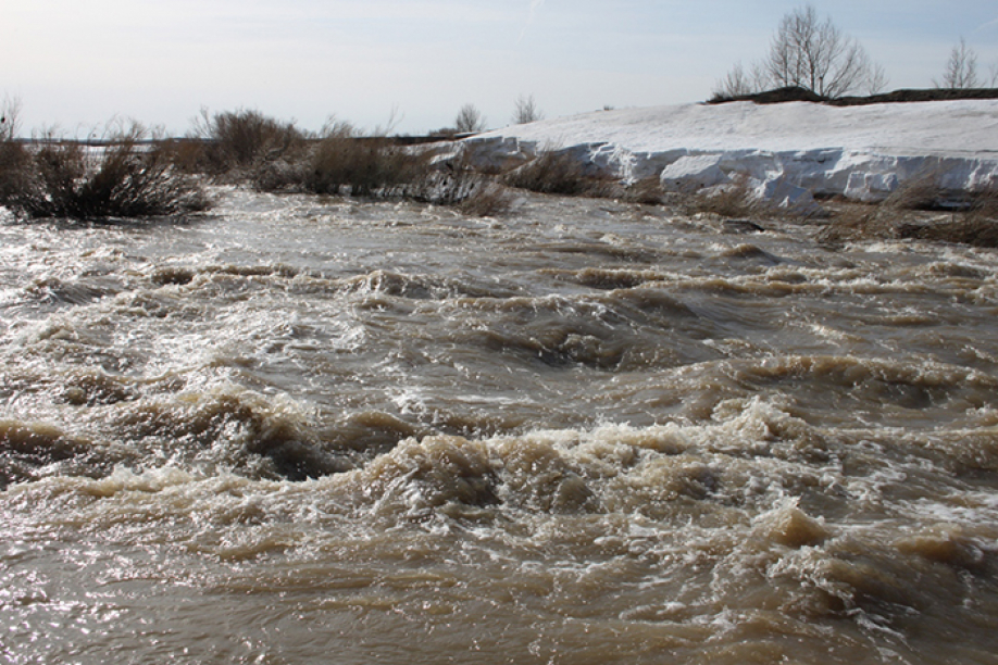 قار قالىڭ, قاۋىپ تە مول