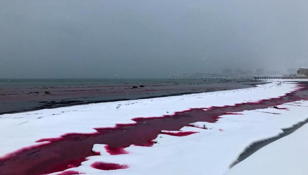 قانقىزىل كاسپي