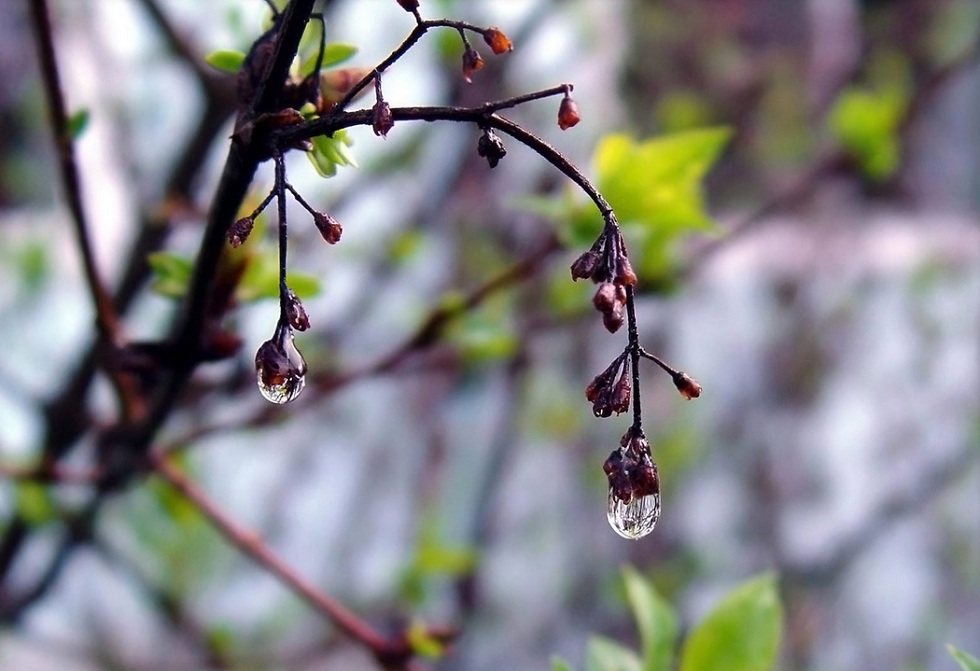 الداعى كۇندەردە اۋا رايى قانداي بولادى؟