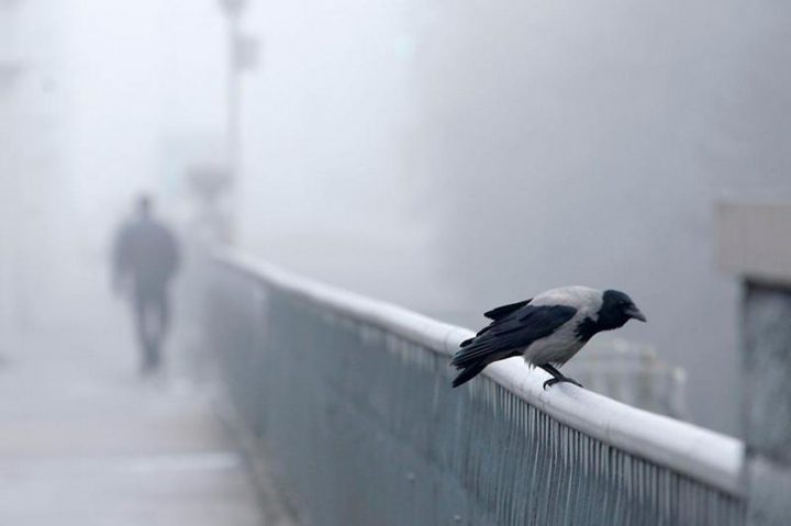 قازاقستاننىڭ بىرنەشە وڭىرىندە داۋىلدى ەسكەرتۋ جاريالاندى