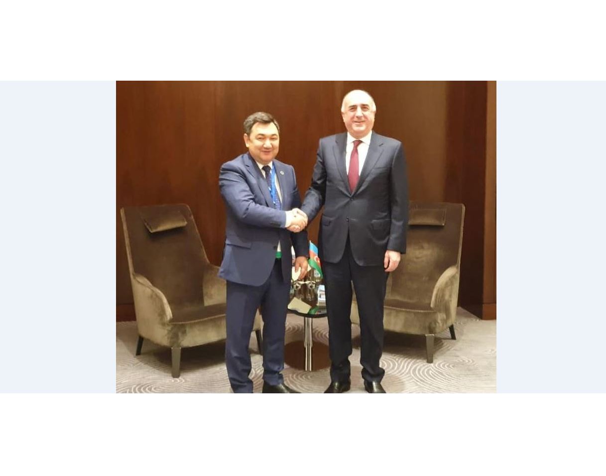 تۇركى اكادەمياسىنىڭ پرەزيدەنتى ەلمار مامادياروۆپەن كەزدەستى